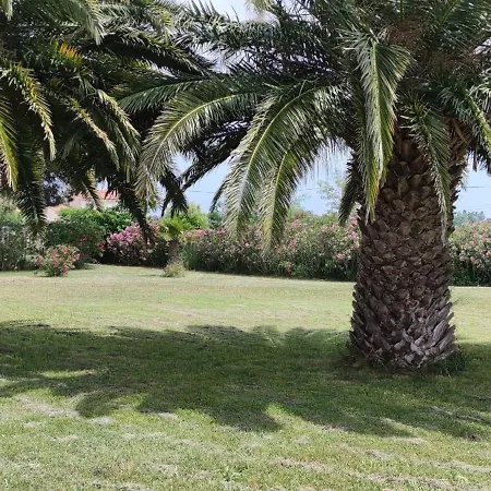 St Cyprien Magnifique Piscine Privee 10 Personnes Saint-Cyprien (Pyrenees-Orientales)